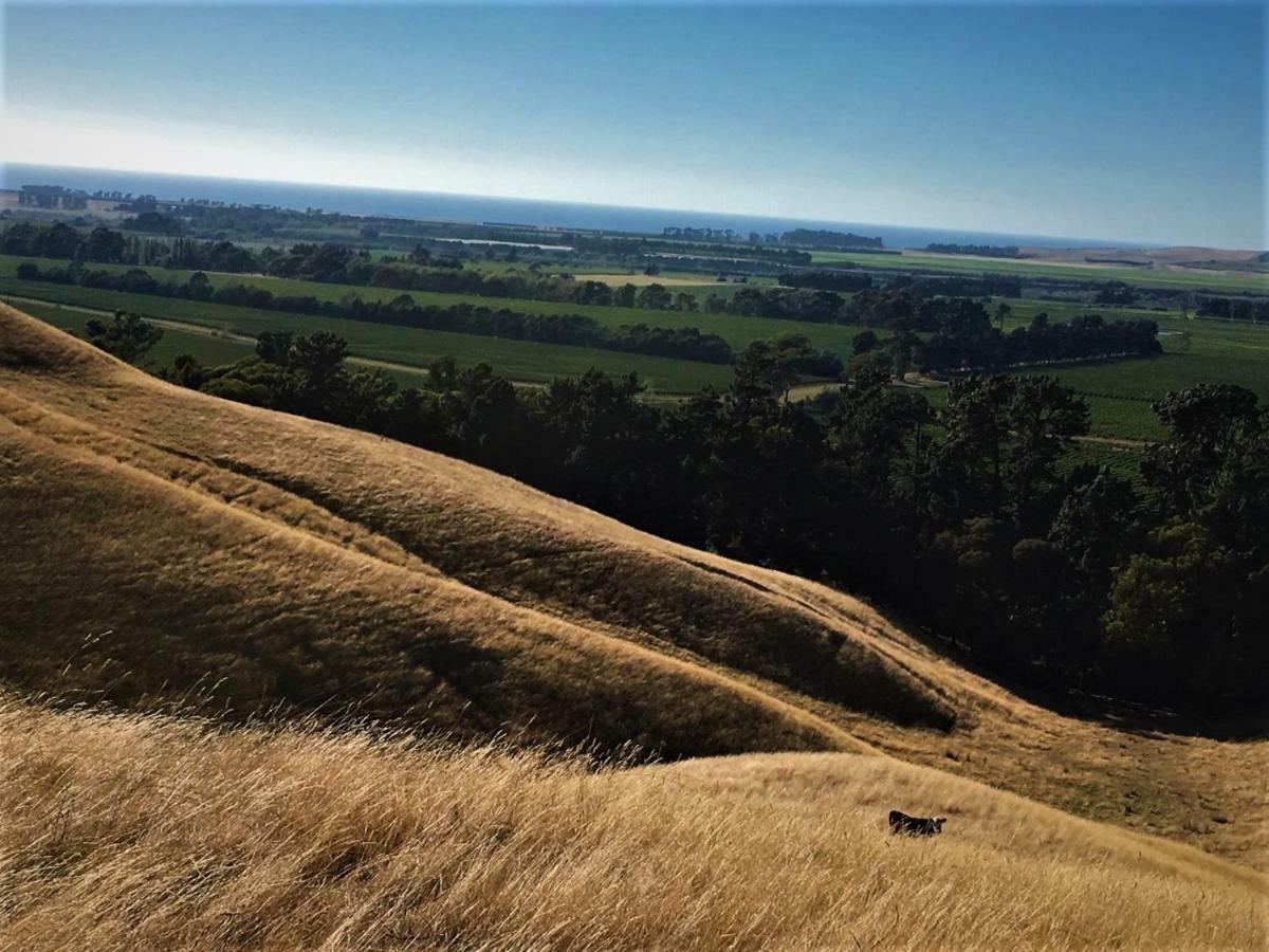 Hill Top Retreat Lower Dashwood 외부 사진